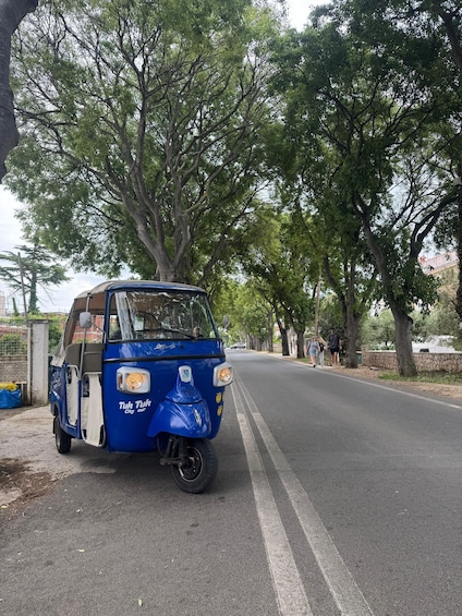A blue tuk-tuk parked on a tree-lined street. 2