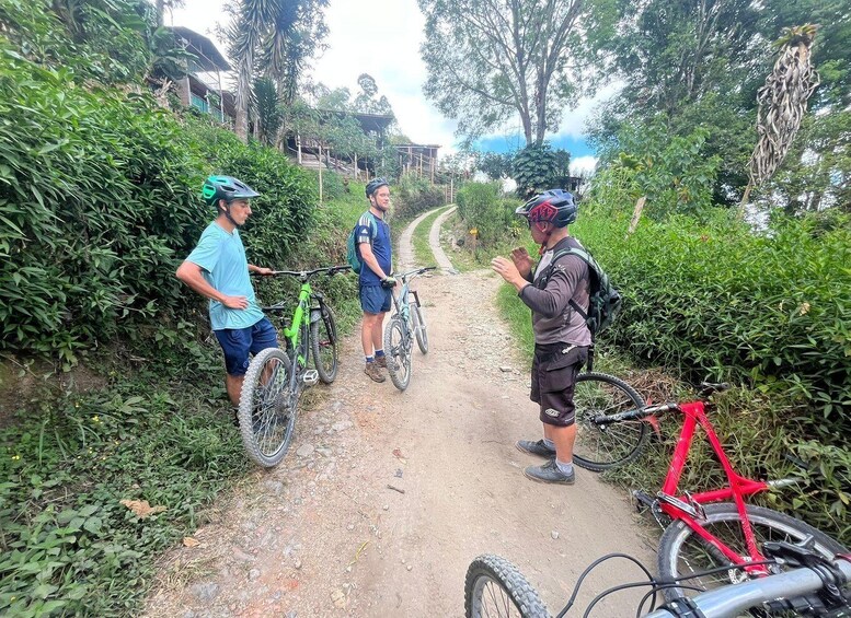 Three cyclists on a dirt path surrounded by greenery. 1