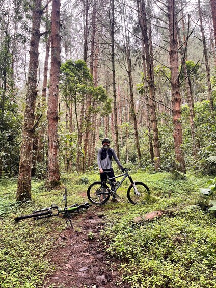 A person standing next to a mountain bike in a forest with tall trees and a dirt path. 2