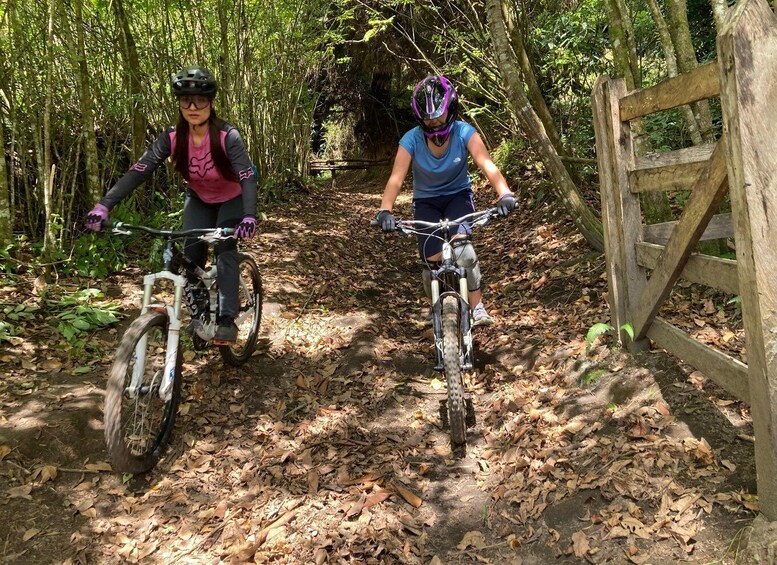 Two people riding mountain bikes on a forest trail. 3