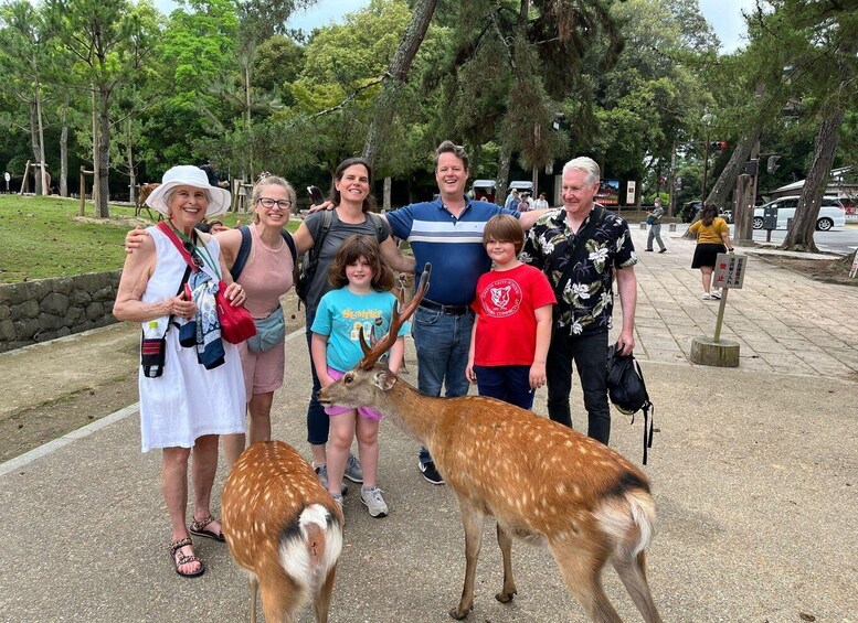 A group of people standing with deer in a park. 1