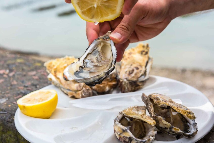 A person holding an oyster with a lemon half, on a white plate with more oysters and a lemon slice. 5