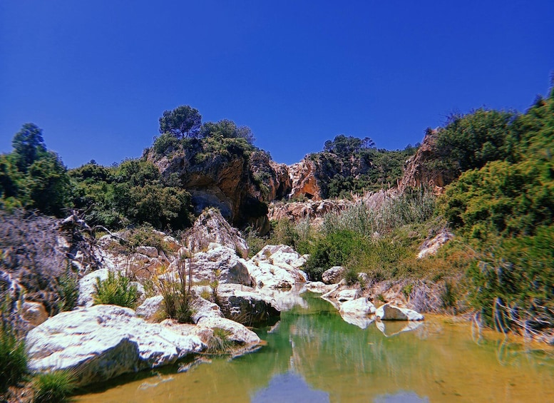 A rocky landscape with a clear blue sky, a small body of water, and green vegetation. 5