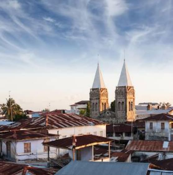 A town with two prominent church towers and a mix of residential buildings. 3