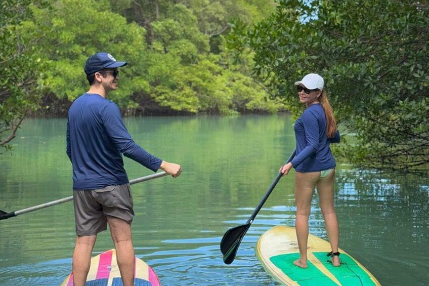 Two people paddleboarding on a calm river surrounded by lush greenery. 2