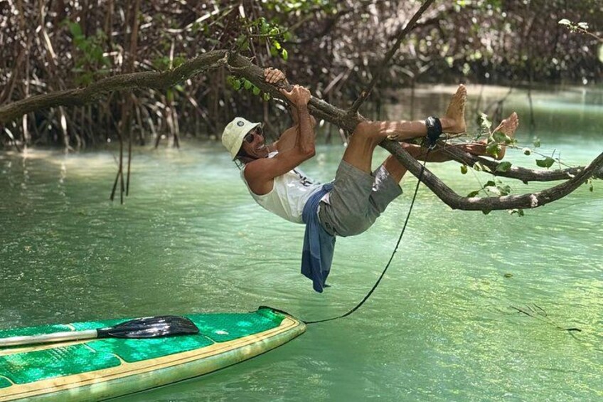 A person hanging from a tree branch over water, a green boat, and a natural mangrove environment. 3