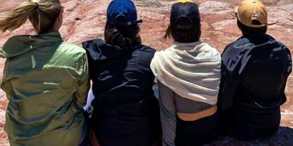 Vier personen staan in een rij, met hun rug naar de camera, en een rotsachtig landschap op de achtergrond. 2