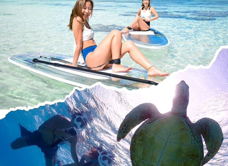 Two people on a clear waterboard, a turtle, and another turtle swimming underwater. 1