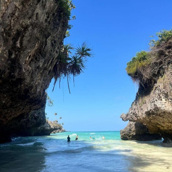 A coastal scene with clear blue water, rocky cliffs, and palm trees. 5