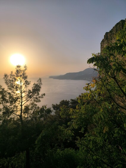 A sunset over a calm sea with a mountain in the background and dense foliage in the foreground. 1