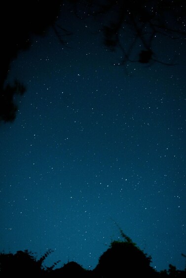 A starry night sky with silhouettes of trees at the bottom. 2