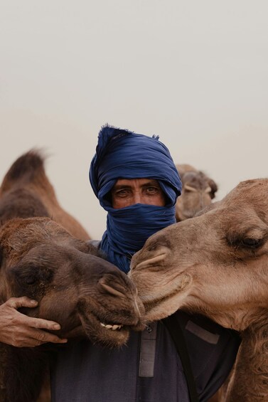 A person with a blue headscarf holding a camel. 3