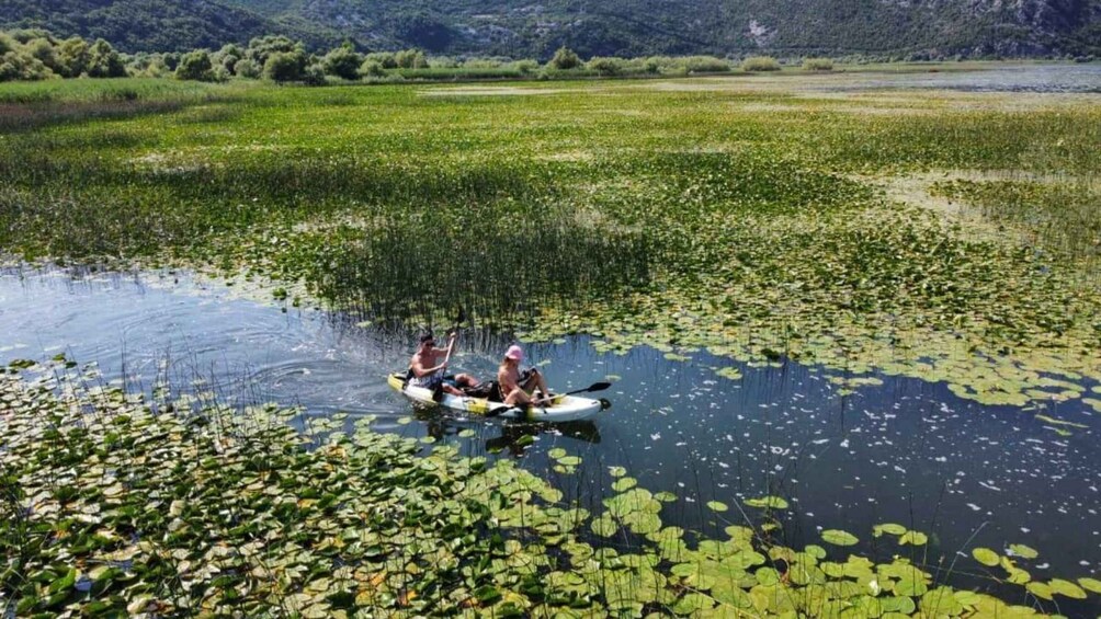 Two people kayaking on a lake surrounded by lily pads. 5