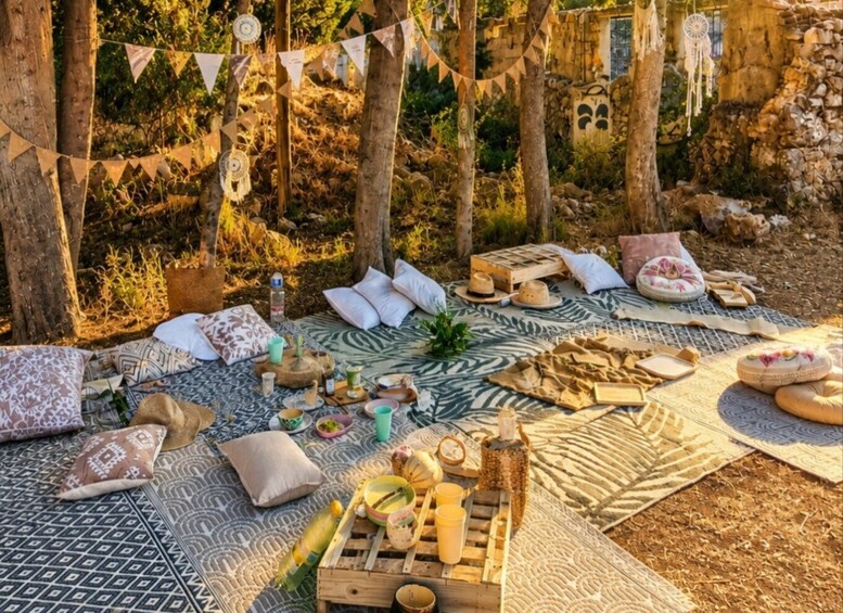 An outdoor picnic setup with a blanket, pillows, and picnic items. 3