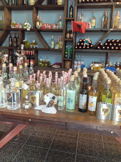 Picture 8 for Activity Blue Eye, Wine Tasting & Lekursi Castle 2