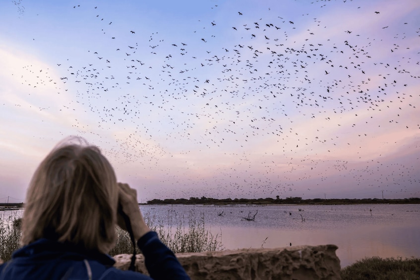 A person observing a flock of birds flying over a body of water during sunset. 4