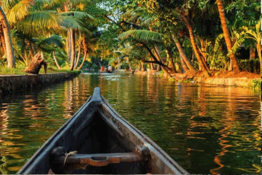 A narrow waterway flanked by tall palm trees reflecting in calm water. 2