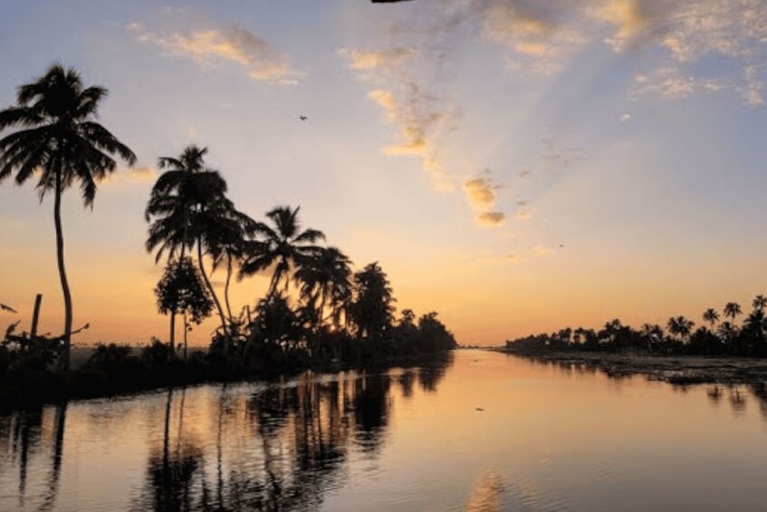 A calm river at sunset with palm trees silhouetted against the sky. 5