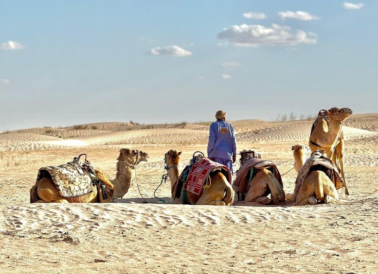 A desert landscape with camels and a person in traditional attire. 5