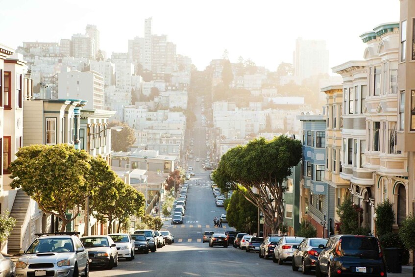 A street lined with parked cars and trees, leading up a hill with buildings in the background. 2