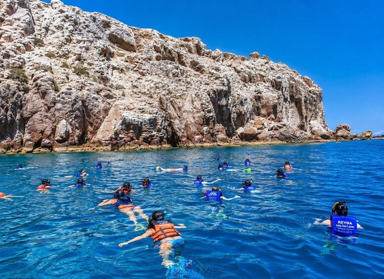 La Paz: All-Inclusive Tour of Espíritu Santo Island, Balandra, and Sea Lions 1