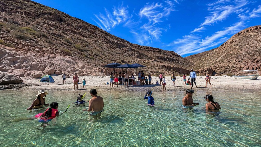 Picture 21 for Activity La Paz: All-Inclusive Tour of Espíritu Santo Island, Balandra, and Sea Lions 4