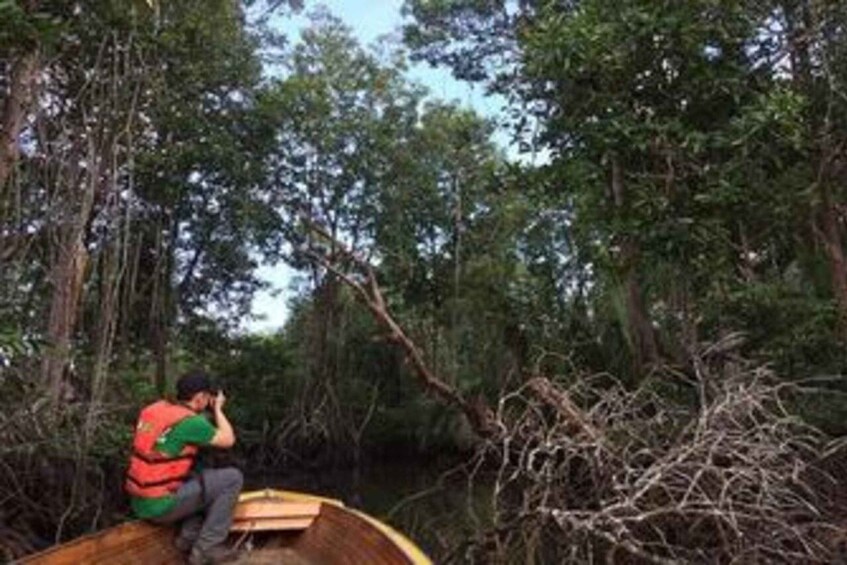 A person in a boat surrounded by dense forest. 2
