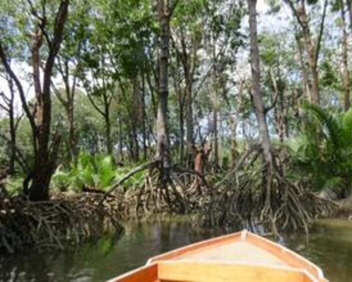 A wooden boat on a calm river surrounded by dense mangrove trees. 5