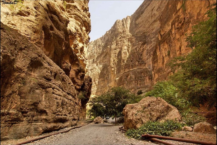 A narrow canyon with rocky walls and sparse vegetation. 3