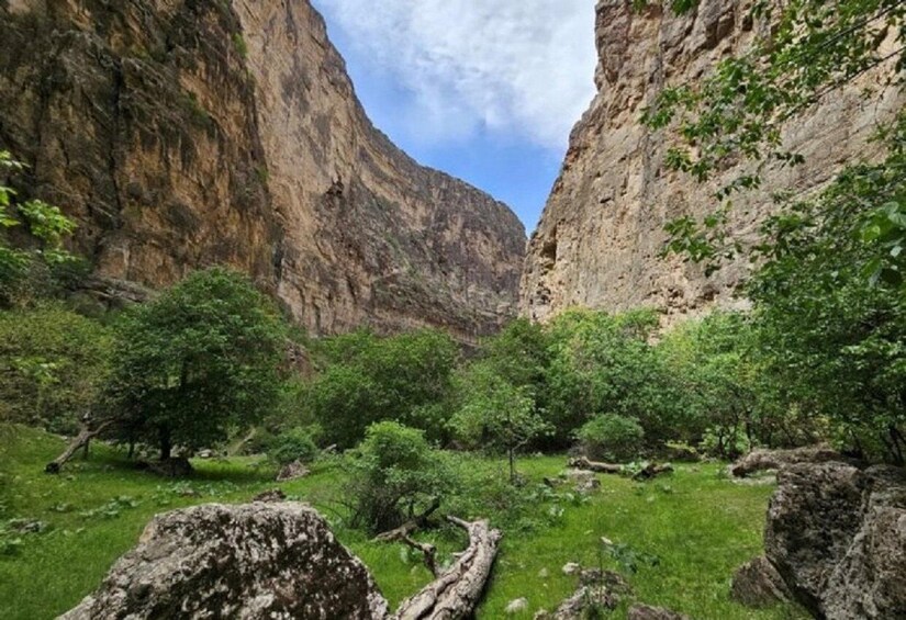 A canyon with lush greenery and rocky cliffs. 4
