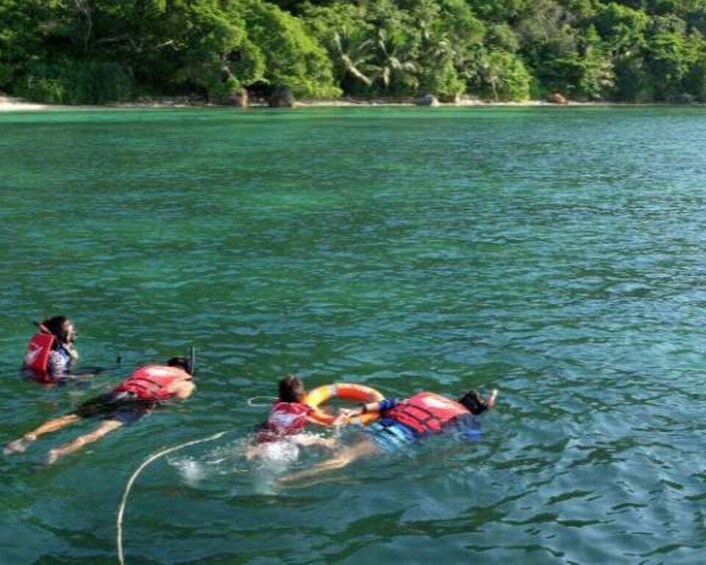 People swimming in a clear blue sea with a forested coastline in the background. 4
