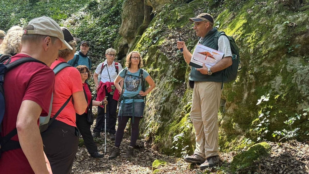 A group of hikers in a forested area with moss-covered rocks and dense foliage. 5
