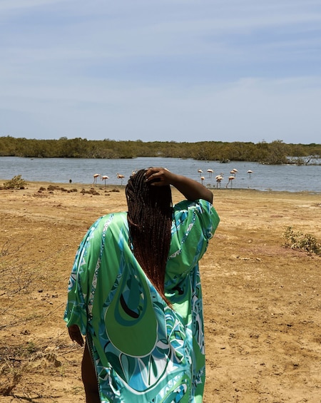 A person standing on a sandy beach with a body of water and flamingos in the background. 1