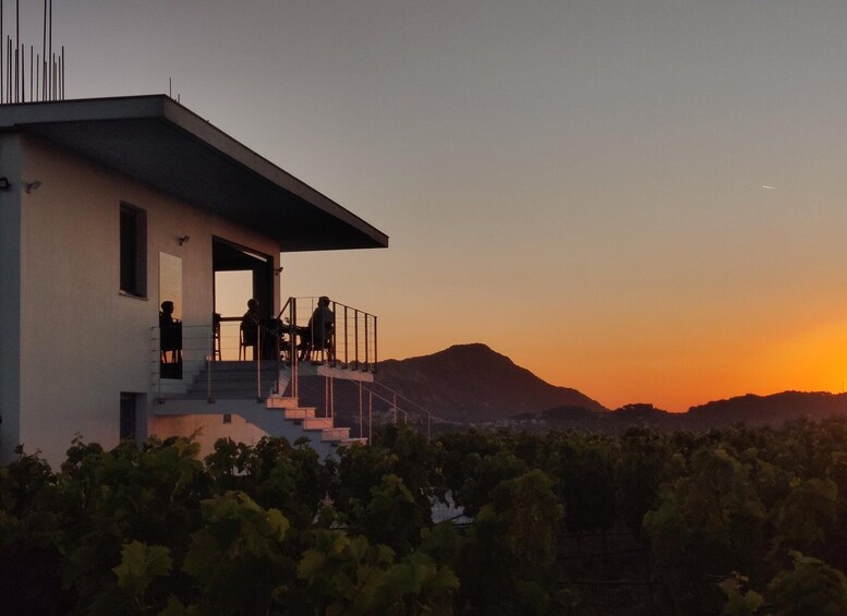 Samos: Wine Tasting 1