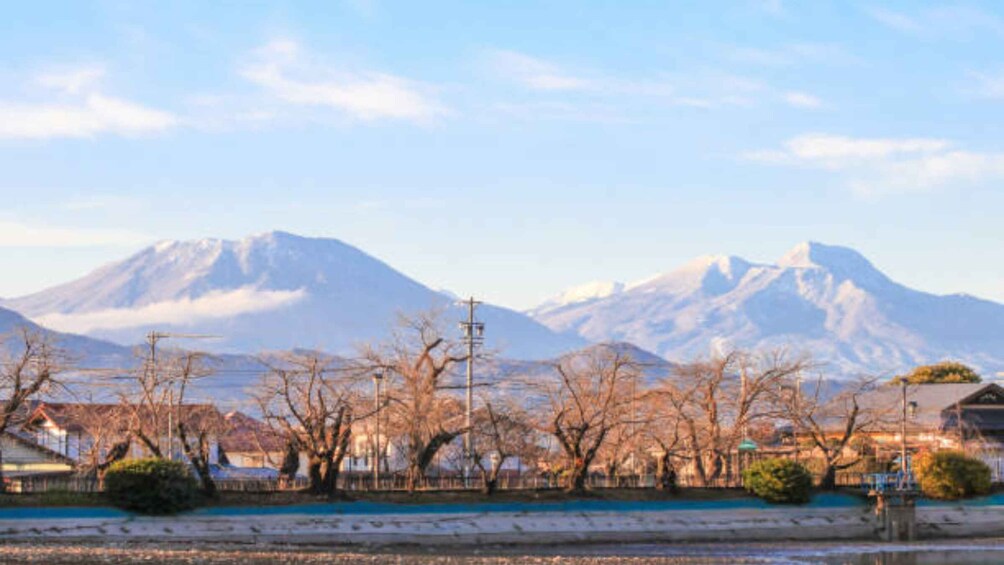 A snow-covered landscape with mountains in the background and leafless trees in the foreground. 4