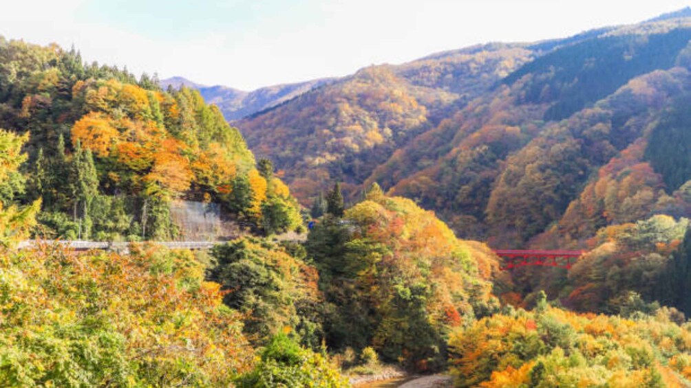 A mountainous landscape with autumn foliage, a red bridge, and a train track. 5