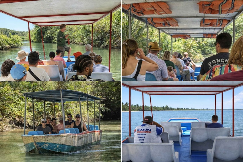 A boat tour with passengers seated under a covered area, surrounded by water and greenery. 1