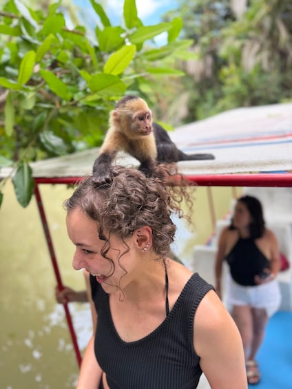 A person with a monkey on their head, a red structure, and greenery in the background. 3