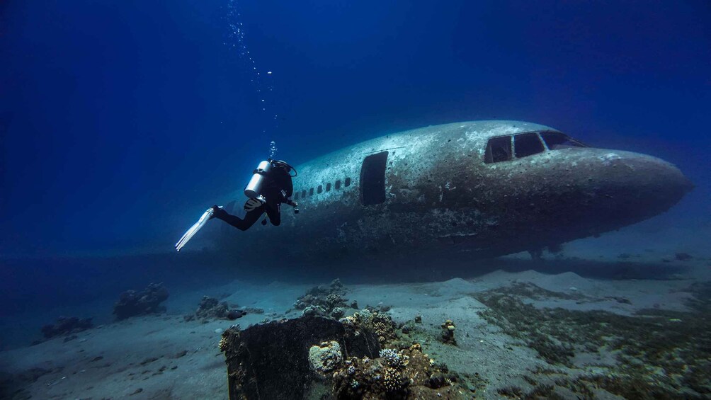 A diver exploring an underwater wreck of an airplane. 2