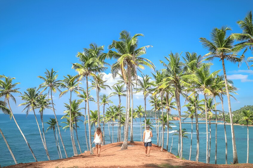 Two people walking along a dirt path surrounded by palm trees, overlooking a body of water. 2