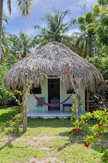 A thatched-roof hut with a hammock and a chair in a tropical garden. 2