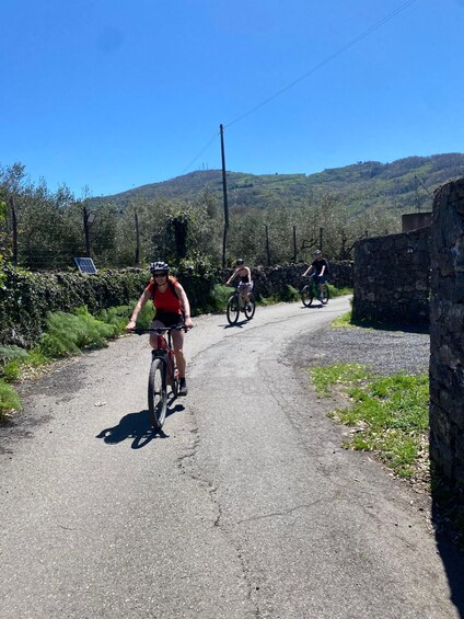Cyclists on a rural road with stone walls and greenery. 4