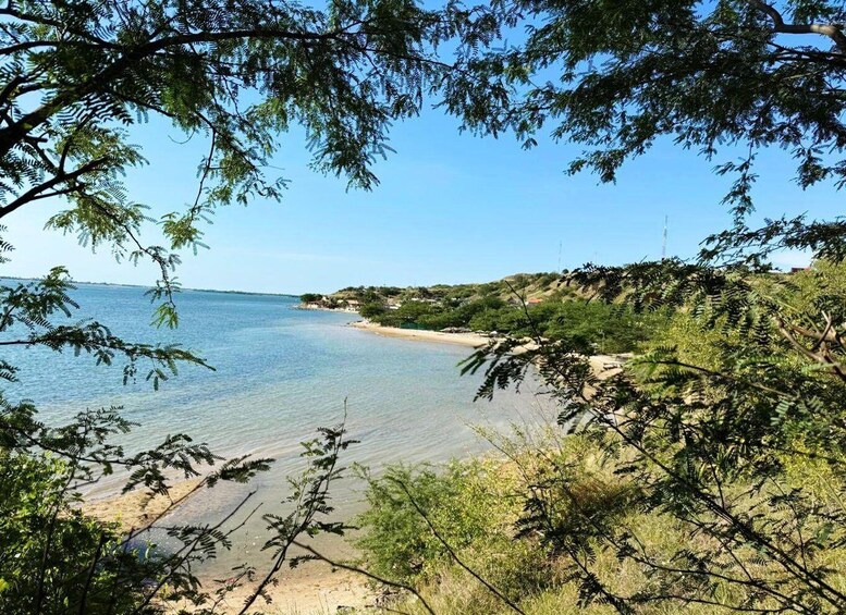 A coastal landscape with clear water, sandy beach, and dense greenery. 3