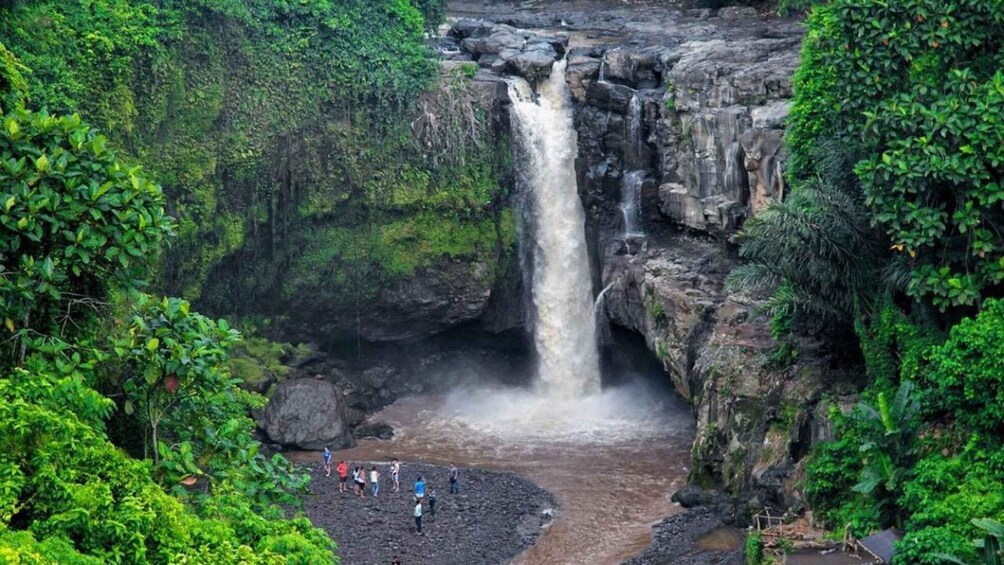 A waterfall surrounded by lush greenery. 5