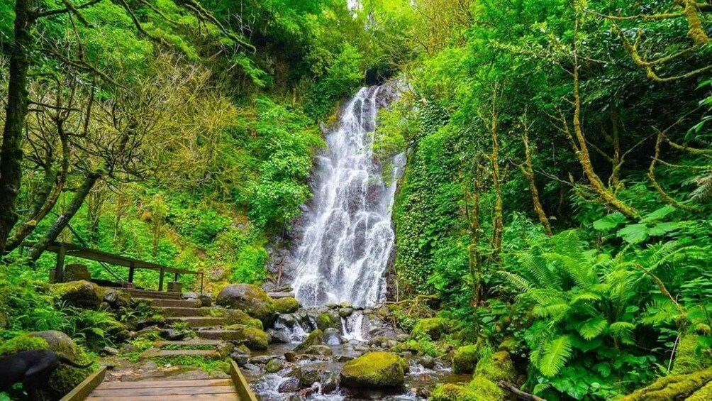 A waterfall surrounded by lush greenery and a wooden boardwalk. 4