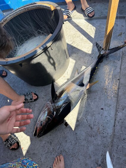 A large fish on the ground with a metal container nearby. 5
