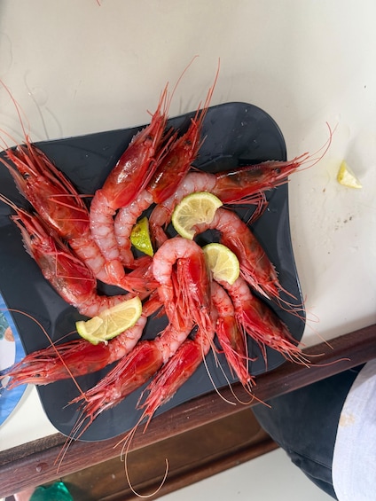 Picture 43 for Activity Fishing Tourism in Catania: Boat Experience with Typical Lunch on Board 3