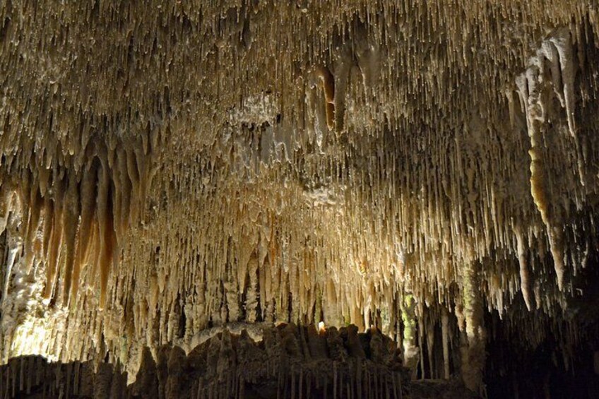Visita de las Cuevas del Drach con servicio de recogida 5