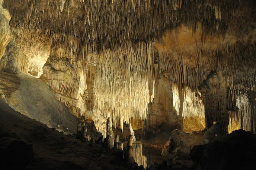Visita de las Cuevas del Drach con servicio de recogida 4