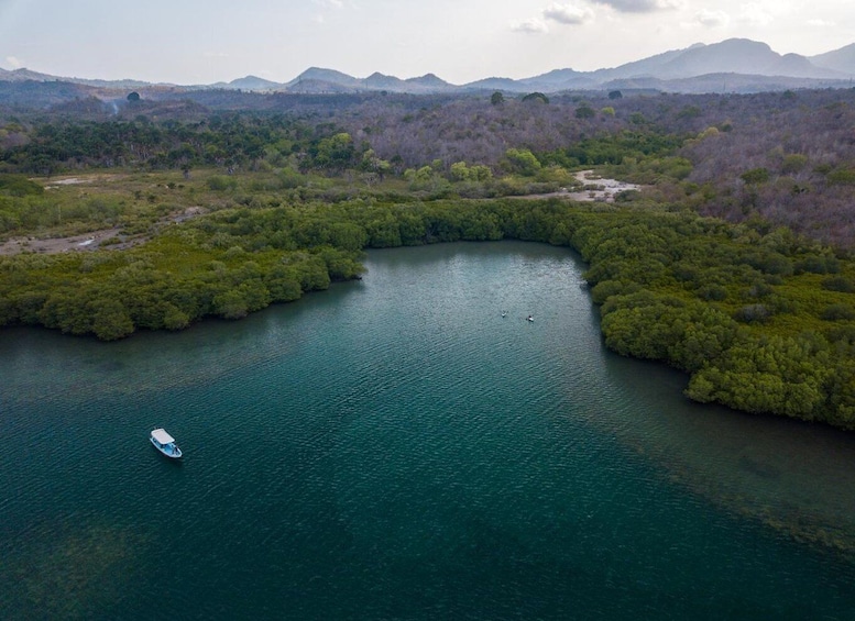 An aerial view of a river winding through a forested landscape with mountains in the background. 1